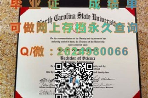 解鎖精英未來，費(fèi)斯克大學(xué)學(xué)歷證書的含金量解析
