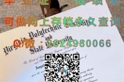 夢回洛約拉，揭秘新奧爾良大學(xué)錄取通知書背后的榮耀時刻