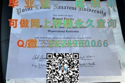 霍夫斯特拉大學(xué)成績單，揭秘學(xué)術(shù)實(shí)力與成就的量化展示