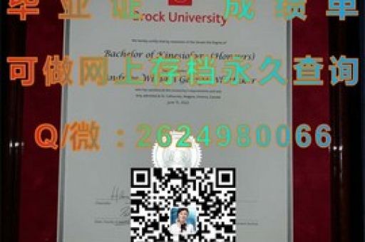 圣地亞哥大學(xué)文憑，解鎖職場精英之路的神秘鑰匙？