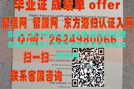 東京藝術大學畢業(yè)證樣本|留信網(wǎng)能查但是教育部不能查|法國文憑證書樣本|樣本網(wǎng)