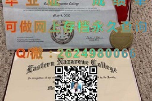 科技精英搖籃，揭秘先進技術大學錄取背后的精彩故事